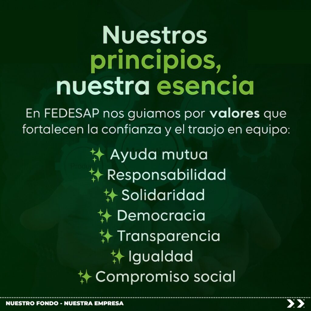 PRINCIPIOS FEDESAP