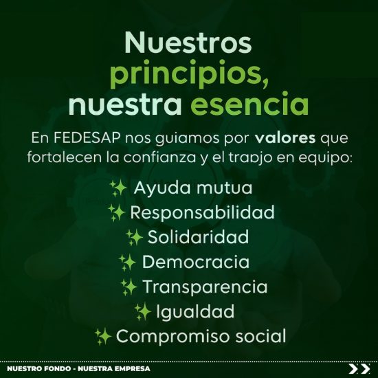 PRINCIPIOS FEDESAP